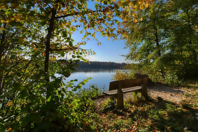足球职业化的全球趋势